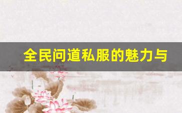 全民问道私服的魅力与挑战探讨