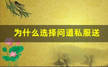 为什么选择问道私服送道行私服成为玩家新选择