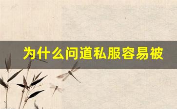 为什么问道私服容易被骗？背后的真相与防范技巧