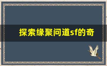 探索缘聚问道sf的奇幻冒险与无限可能