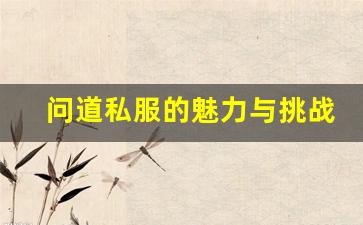 问道私服的魅力与挑战，如何选择最适合的公益私服