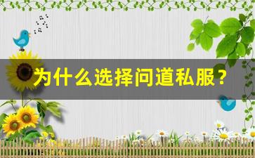 为什么选择问道私服？揭秘游戏背后的精彩世界