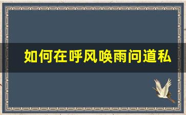如何在呼风唤雨问道私服中快速提升实力
