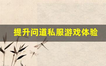 提升问道私服游戏体验的实用技巧与策略