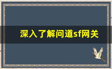深入了解问道sf网关的功能与优势