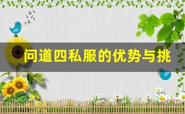 问道四私服的优势与挑战解析