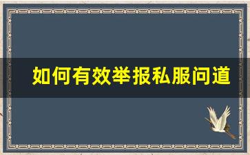 如何有效举报私服问道，保护官方游戏环境