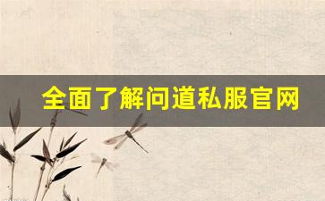 全面了解问道私服官网的最新活动与福利