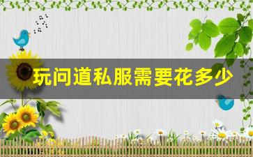 玩问道私服需要花多少钱，如何避免不必要的支出