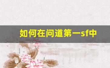 如何在问道第一sf中打造强大角色并快速提升等级