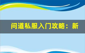 问道私服入门攻略：新手玩家必备技巧与玩法解析