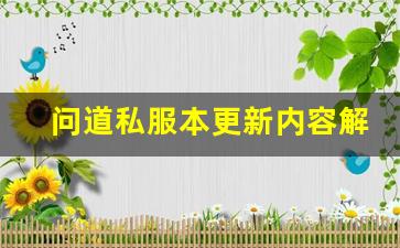 问道私服本更新内容解析与玩法指南
