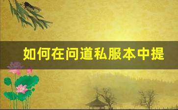 如何在问道私服本中提升角色实力