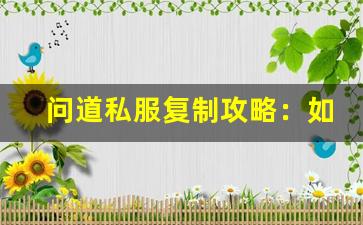 问道私服复制攻略：如何避免常见的风险与问题