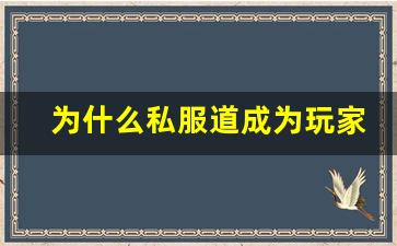 为什么私服道成为玩家热门选择的原因