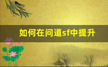 如何在问道sf中提升法系角色的战斗力