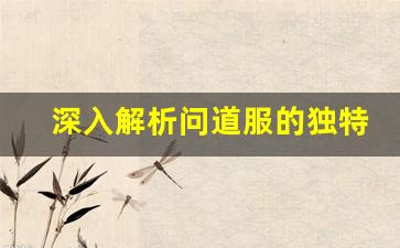 深入解析问道服的独特玩法与特点