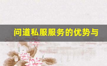 问道私服服务的优势与挑战解析