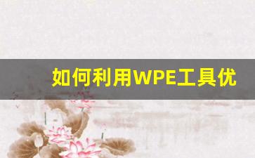 如何利用WPE工具优化私服问道游戏体验