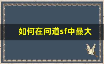 如何在问道sf中最大化伤害输出