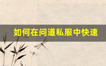 如何在问道私服中快速增加角色战力