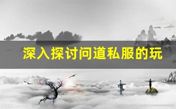 深入探讨问道私服的玩法创新与社区发展