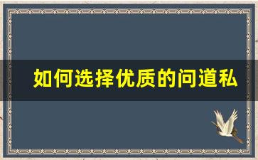 如何选择优质的问道私服服务提升游戏体验