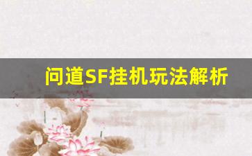 问道SF挂机玩法解析与技巧分享