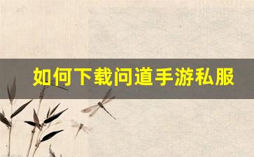 如何下载问道手游私服无限元宝版本并享受游戏乐趣