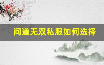 问道无双私服如何选择最合适的服务器提升游戏体验