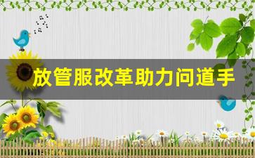 放管服改革助力问道手游SF发展 提升玩家体验的路径