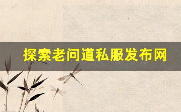 探索老问道私服发布网的独特玩法与社区文化