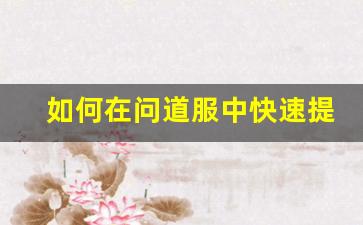 如何在问道服中快速提升角色等级
