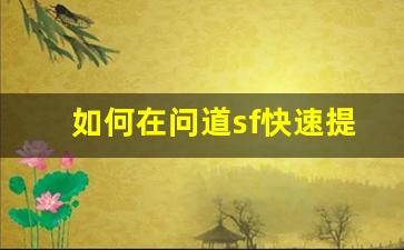 如何在问道sf快速提升角色等级和战力