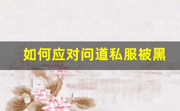 如何应对问道私服被黑：保障游戏安全的实用技巧