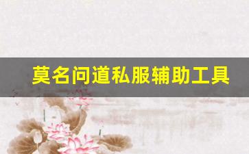 莫名问道私服辅助工具的优势与应用解析