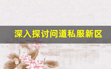 深入探讨问道私服新区的玩法与优势，助你快速上手