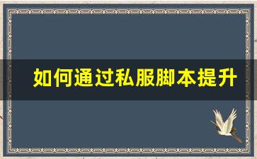 如何通过私服脚本提升问道手游的游戏体验