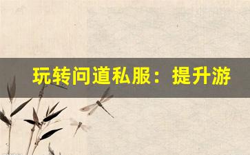 玩转问道私服：提升游戏体验的技巧与建议