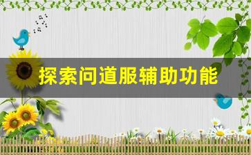 探索问道服辅助功能 帮助玩家轻松提升战力