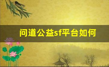 问道公益sf平台如何助力社会公益事业发展
