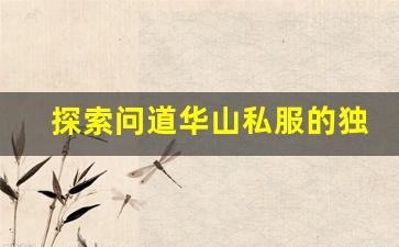 探索问道华山私服的独特魅力与玩法解析