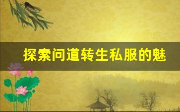 探索问道转生私服的魅力与挑战