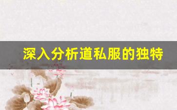 深入分析道私服的独特玩法与优势