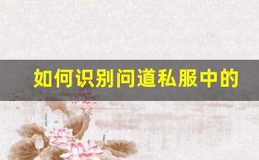 如何识别问道私服中的骗子与防范技巧