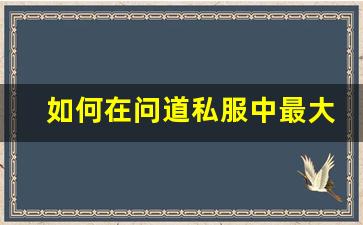 如何在问道私服中最大化水晶的价值