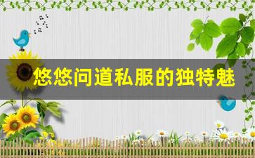悠悠问道私服的独特魅力与游戏体验解析