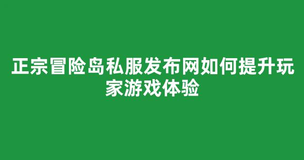 正宗冒险岛私服发布网如何提升玩家游戏体验
